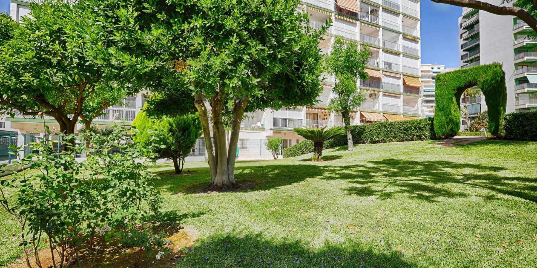 Playa de Gandia Apartamento Brasil Mar מראה חיצוני תמונה